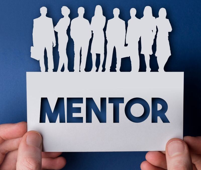 The Fractional CMO as Mentor