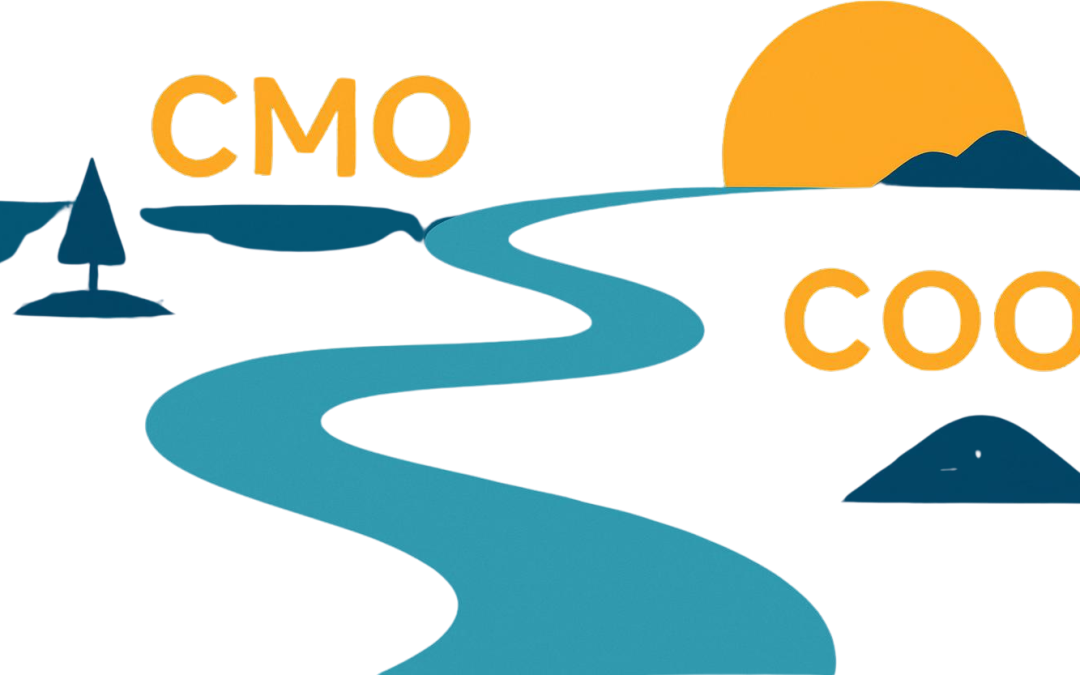 The Road from Legal Marketing Leader to Law Firm COO